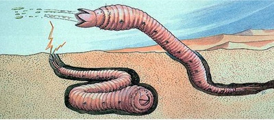 Олгой хорхой