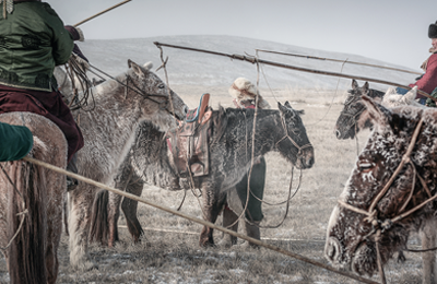 ТАЛЫН ТҮМЭН АДУУ