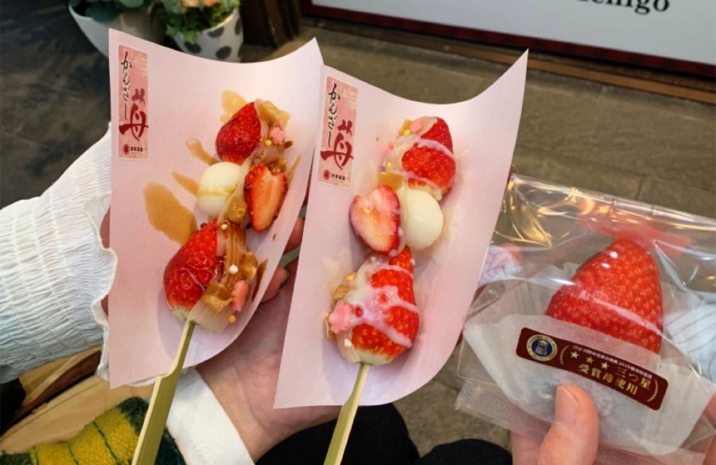 ЯПОН-ЁКОХОМА-ФҮЖИ УУЛ-ТОКИО ХОТЫН АЯЛАЛ+ТИЙЗ